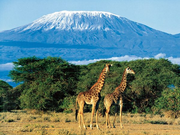 Туры в Танзанию – незабываемое приключение